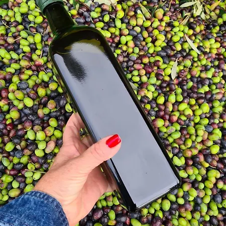 Gli Ulivi Chalten * Perledo