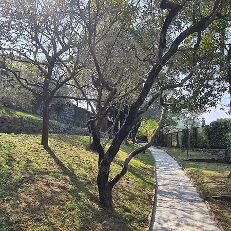 Gli Ulivi Chalten דירה