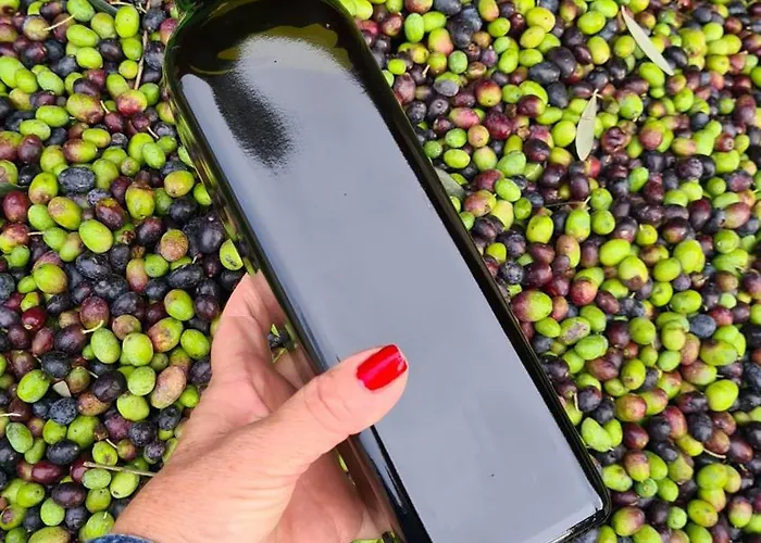 Gli Ulivi Chalten * Perledo